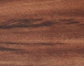 03-TV 203 Brazilian Tiger Wood